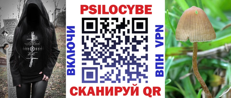 Галлюциногенные грибы Psilocybine cubensis  продажа наркотиков  Вологда 